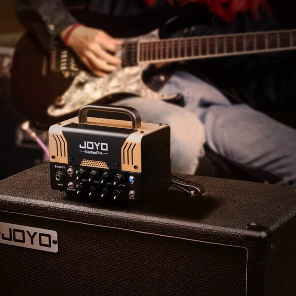JOYO-TWEEDY-AMP (7)
