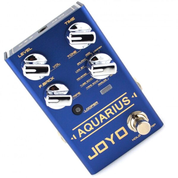 JOYO-Aquarius-delay-looper (6)