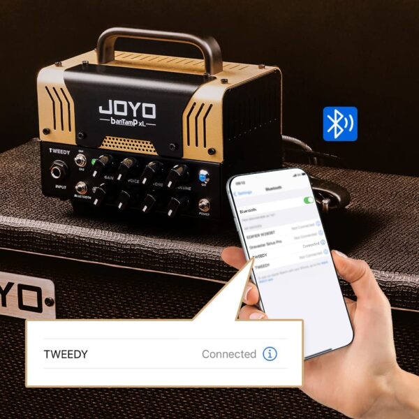 JOYO-TWEEDY-AMP (9)