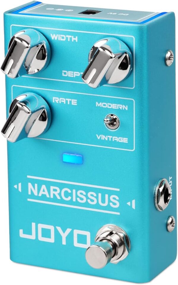 narcissus